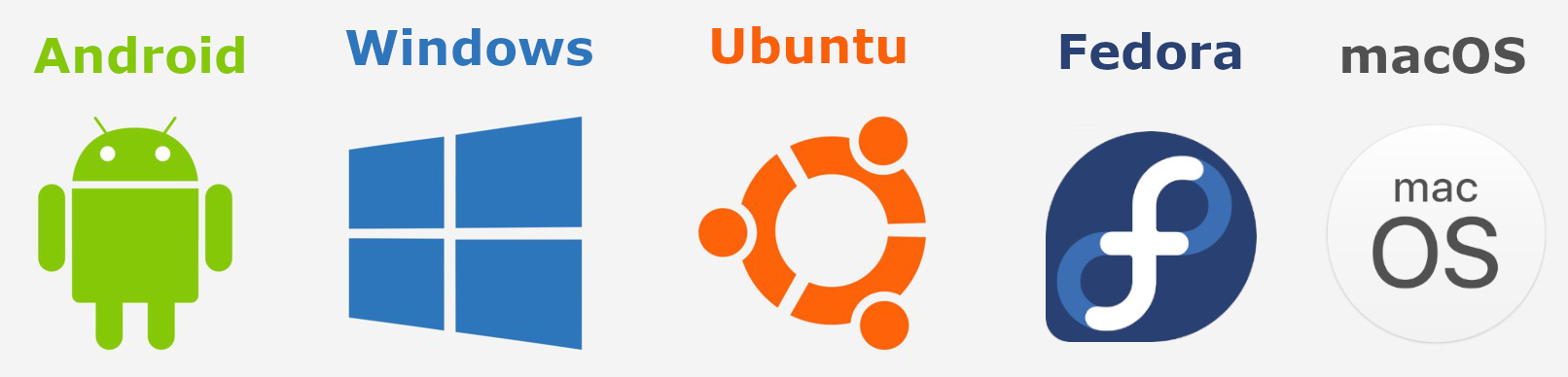 Understanding Computer Fundamentals: Computer Software