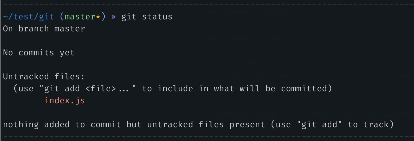 "git status" command output that shows that there is a file "index.js" that is untracked