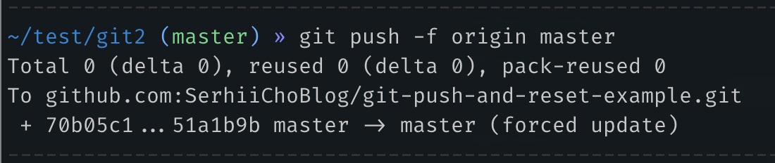 "git push -f origin master" command output