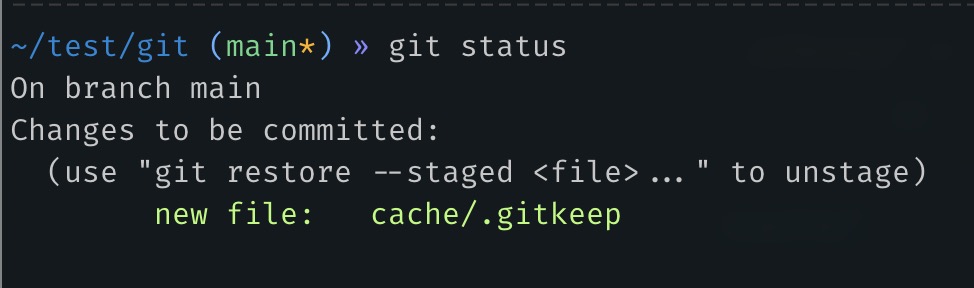 "git status" command output shows a new file "cache/.gitkeep" in a staging state