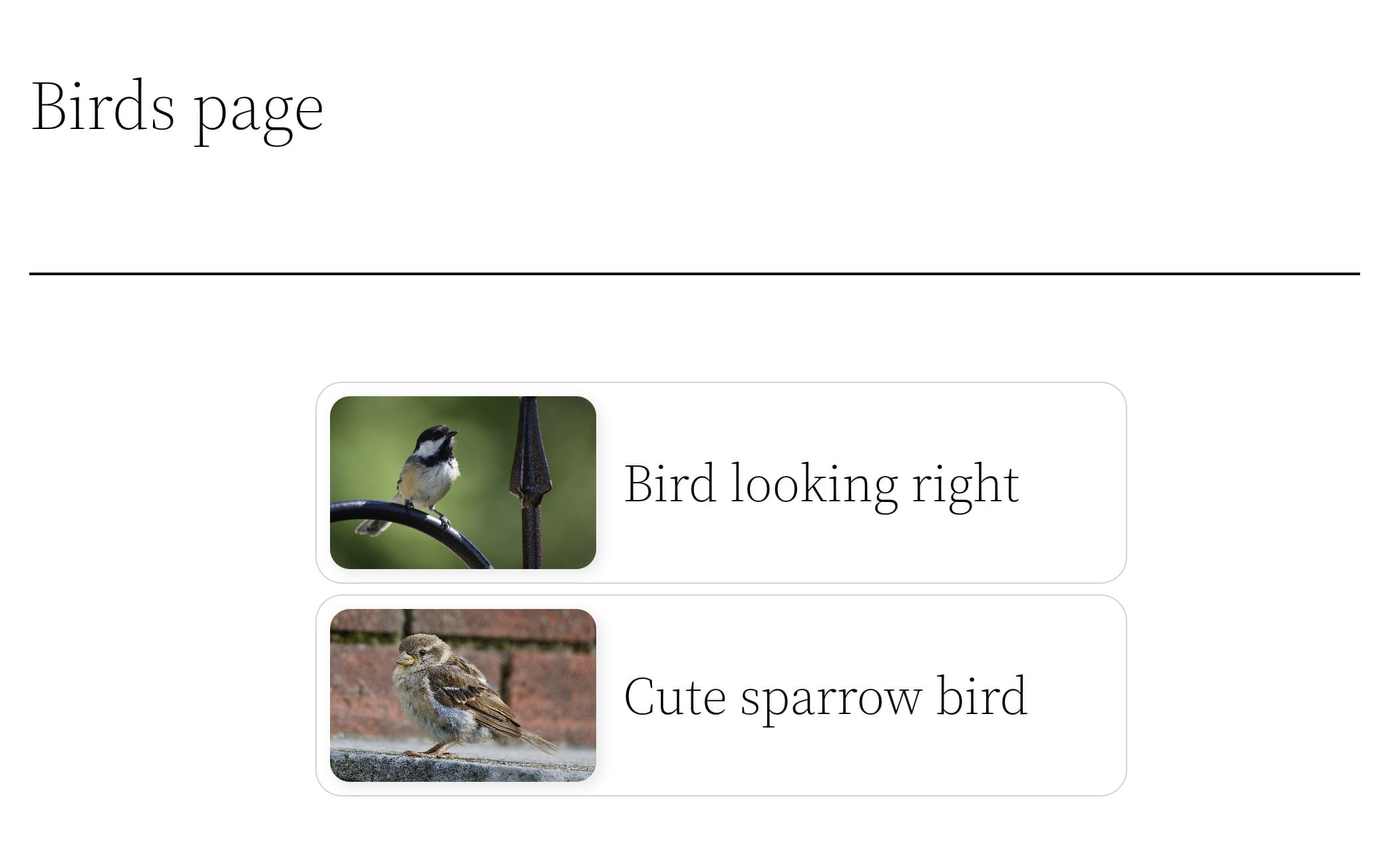 WordPress example page with 2 birds